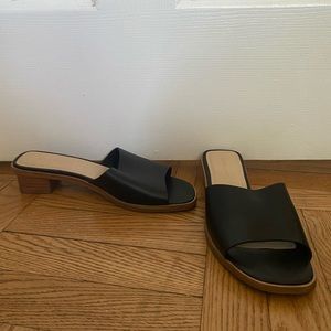 Everlane mules